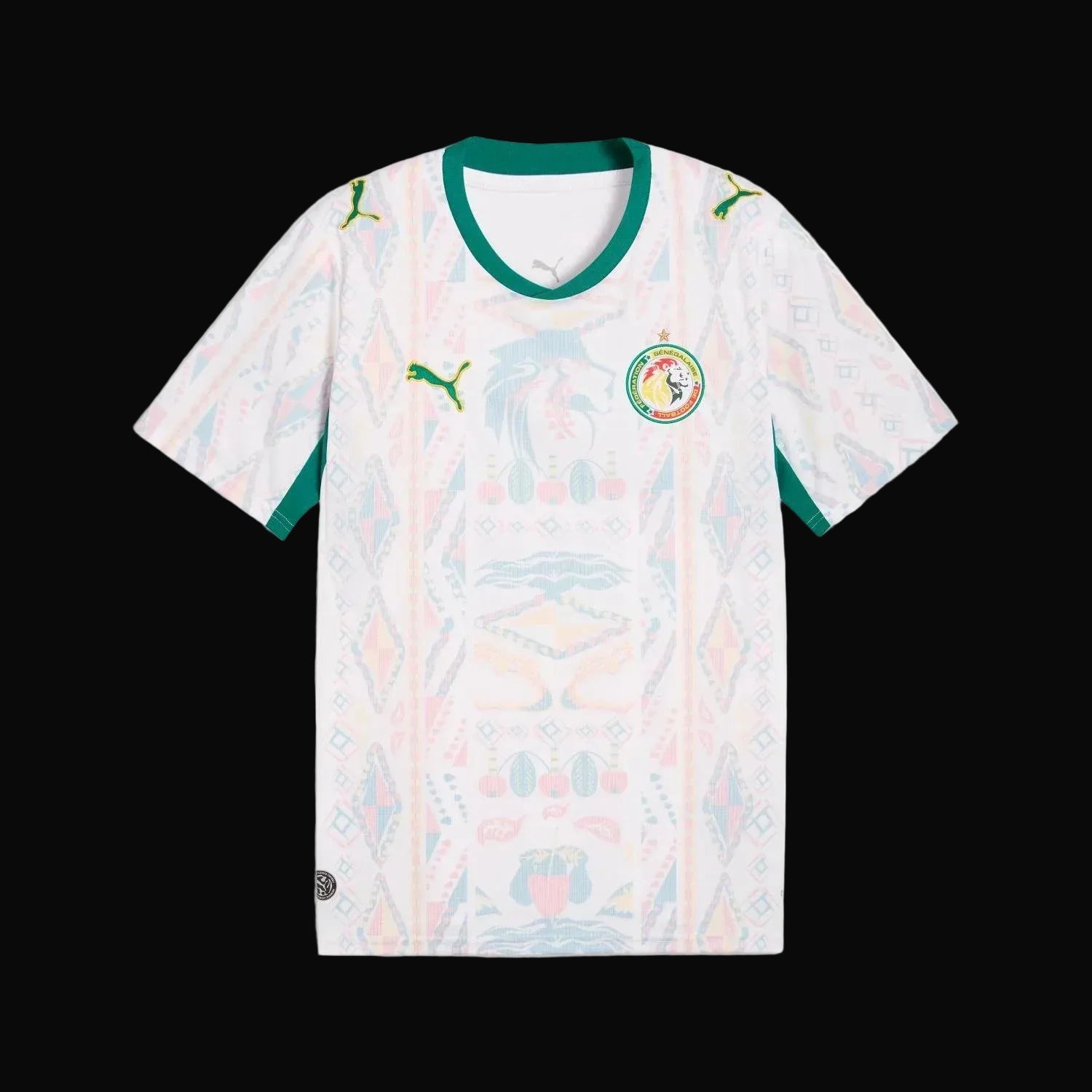 FIFA SENEGAL WORLD CUP 26